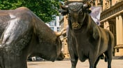 The Bulls Are Back: BofA Survey