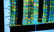 AmeriLife to Distribute Tumor DNA Testing Service