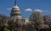 Tax Policy in the New Congress: What to Expect