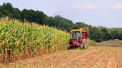 Agriculture Sector Hitting a Rough Patch: Survey