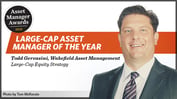 Asset Manager of the Year Todd Gervasini on Finding 'Pockets of Inefficiencies'