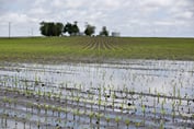 Farm Deluge Starts to Seep Into America's Fragile Rural Economy