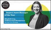 2019 Asset Manager Awards: Trillium Asset Management, All Cap Core Strategy