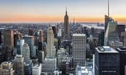 New York State Growls at Out-of-State Pension Risk Transfer Marketers