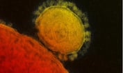 The New Coronavirus, for Agents