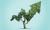 Sustainable Fund Performance Beats Peers: Morgan Stanley