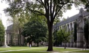 College Endowment Returns Plummet: Study