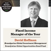 Fixed Income Manager of the Year: Brandywine Global Investment Management