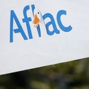 Michigan Officials Say 14 Hit Aflac With Fake Injury Claims