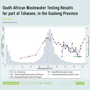 Trackers See COVID-19 Spike in South African Capital's Water