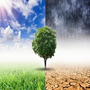 Climate Change and Retirement Planning