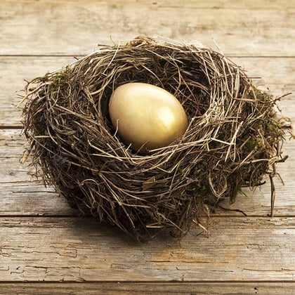 Roth IRA nest egg