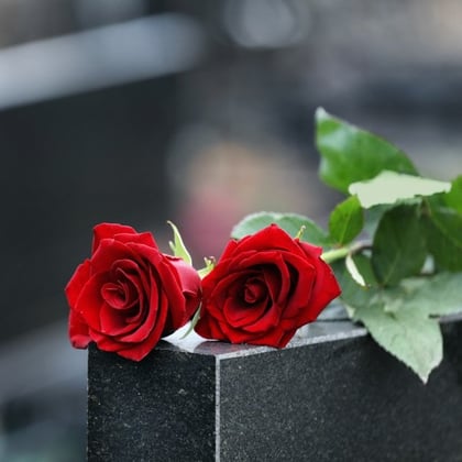 A rose on top of a gravestone