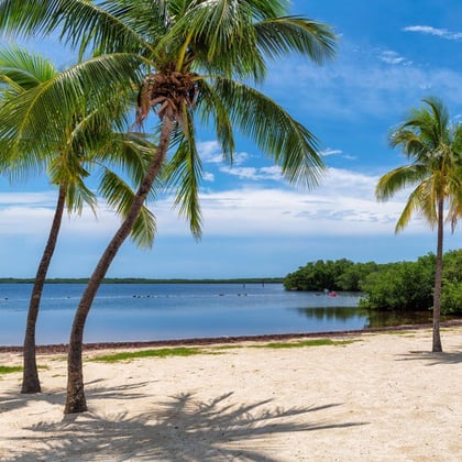 A beautiful sunny beach in Florida