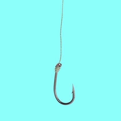a fish hook