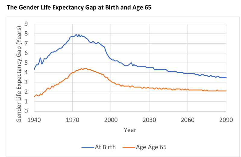 The Gender Life Expectancy Gap at Birth and Age 65